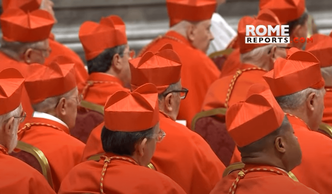 Conclave website aims to reveal where cardinals stand on key Catholic issues