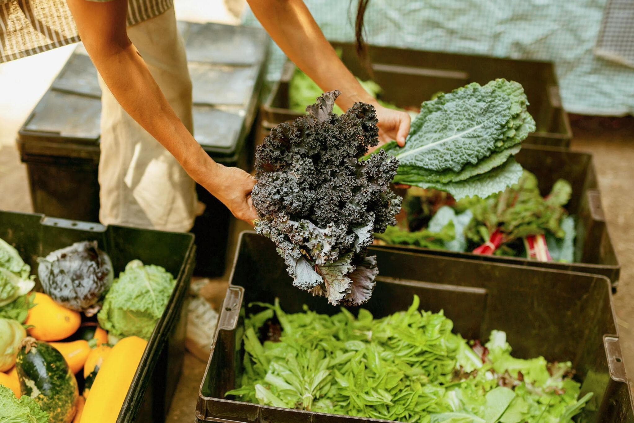 5 steps to embrace seasonal eating today