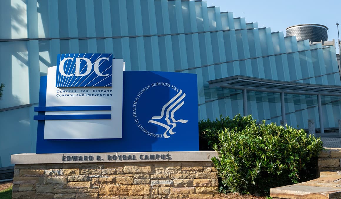Health agencies declare bird flu ‘low risk’ but hysteria ramps up ahead of Trump Inauguration