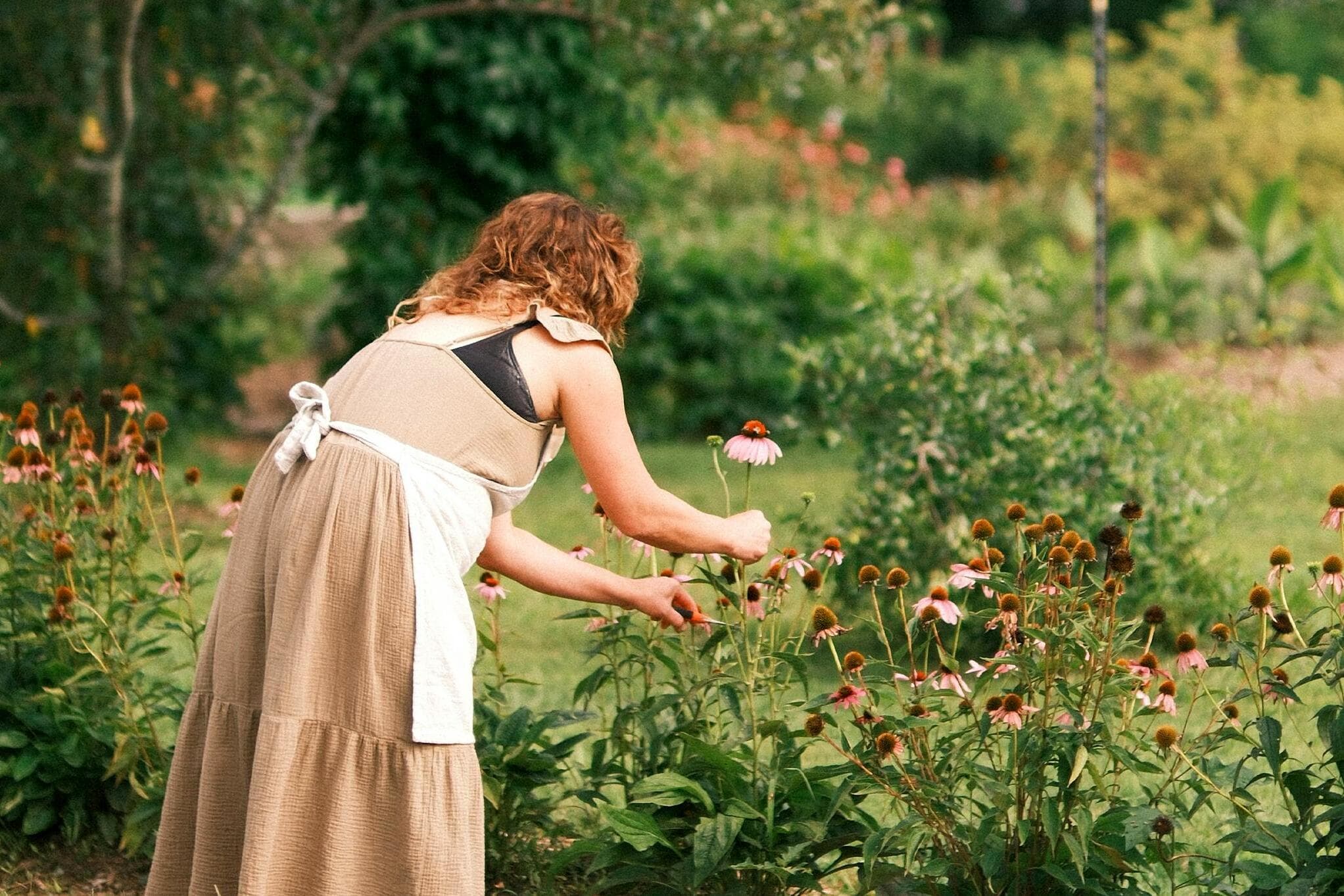 5 declutter garden tips will for a simple summer cleanup
