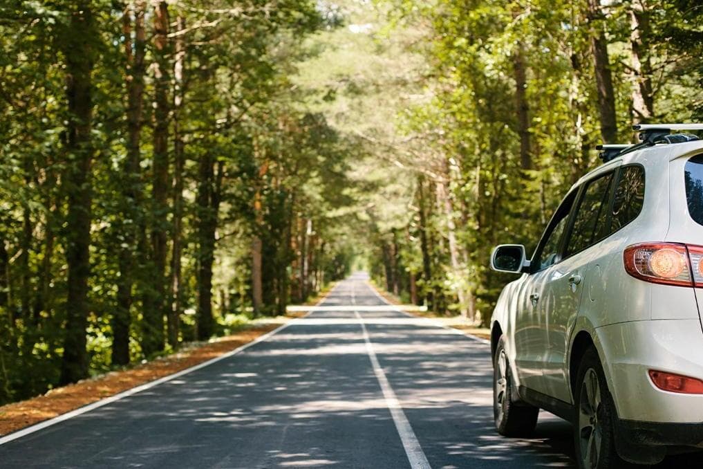 The best routes for an Americana summer road trip